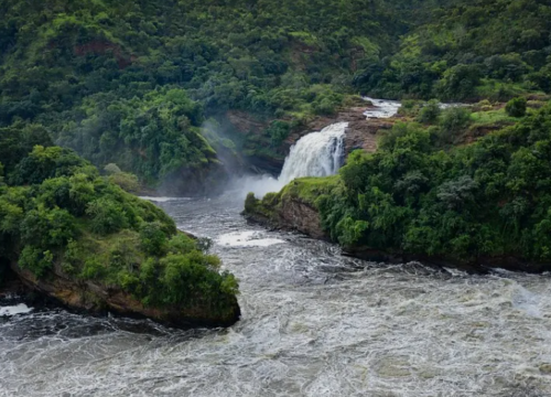 9 Days Uganda & Rwanda Primate Safari