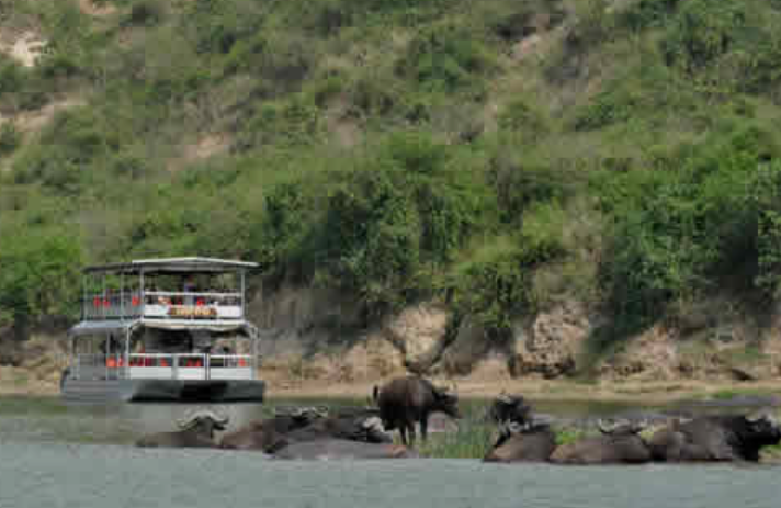 Kazinga_Mjsafarisuganda.com_Mj