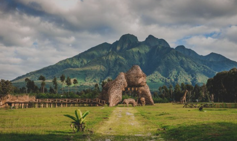 Volcano_National_Park_Rwanda_