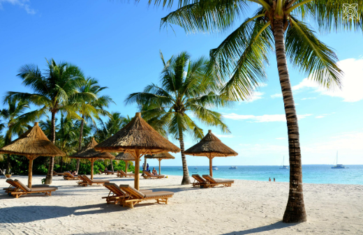 8 Days Tanzania Safari & Zanzibar Beach Holiday