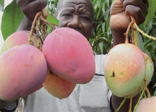 Uganda Rural Life Experience Day Tour