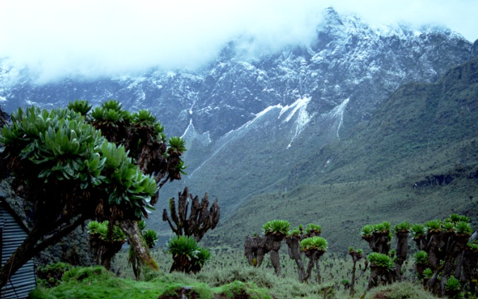 Mount Rwenzori_MjSafarisUganda.com_mt