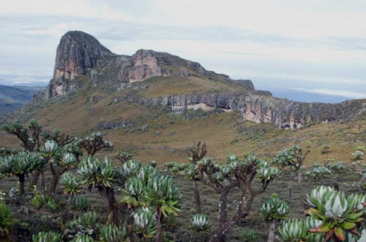 Mount_Elgon_Mjsafarisuganda.com