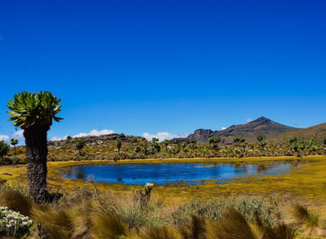 Mount_elgon_caldera_mjsafarisuganda.com_