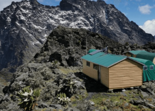 12 Days Mount Rwenzori Hiking & Queen Elizabeth Wildlife Safari