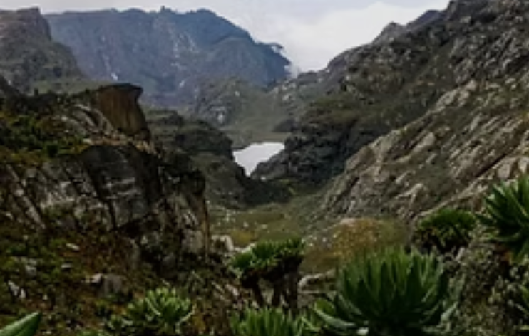 Piswa Trail_mount_elgon_Mjsafarisuganda.com_Tours1