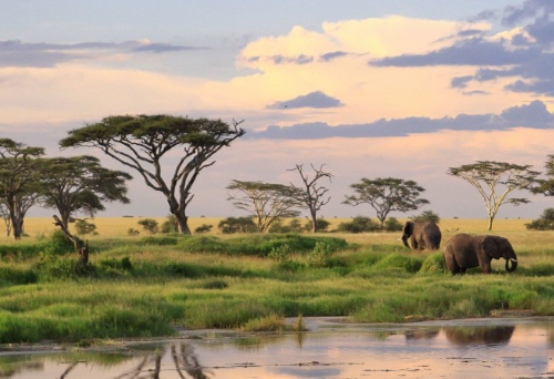 3 Days Tanzania Safari: Tarangire, Ngorongoro & Lake Manyara