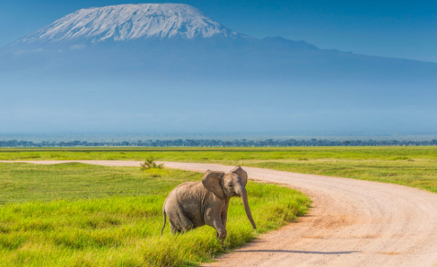 mjsafarisuganda.com_Amboseli_National_park_