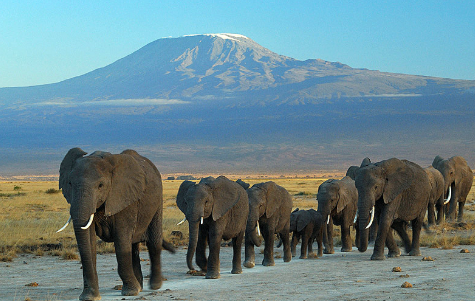 mjsafarisuganda.com_Amboseli_National_park_Kenya_
