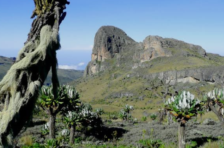 sasatrail_mount_elgon_mjsafarisuganda.com